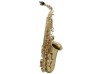 Saksofonas altas "Roy Benson AS-202"