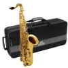 Saksofonas altas "Roy Benson AS-202"
