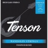 Stygos mandolinai "Tenson"